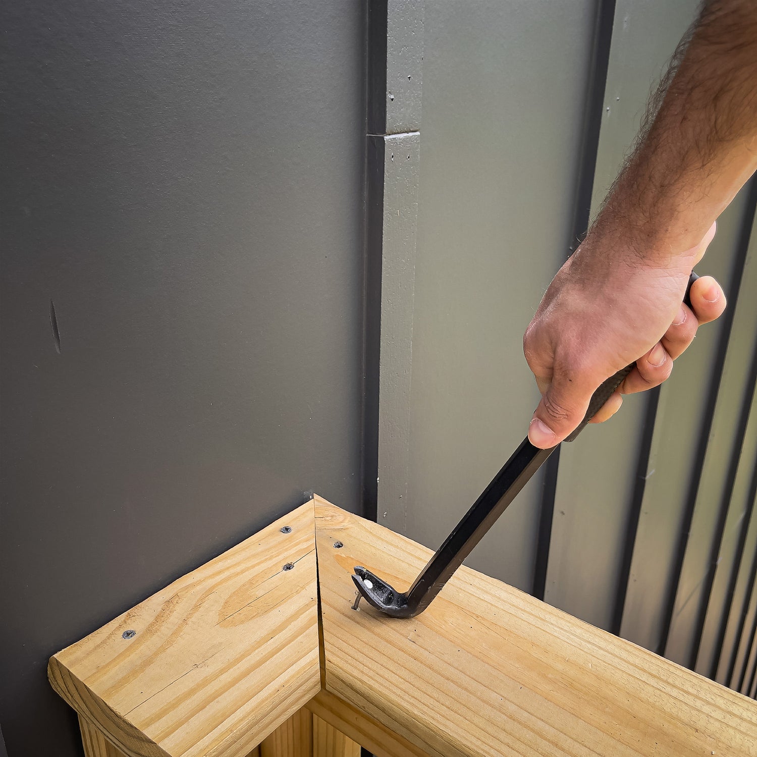 NC11 Additional Image 7