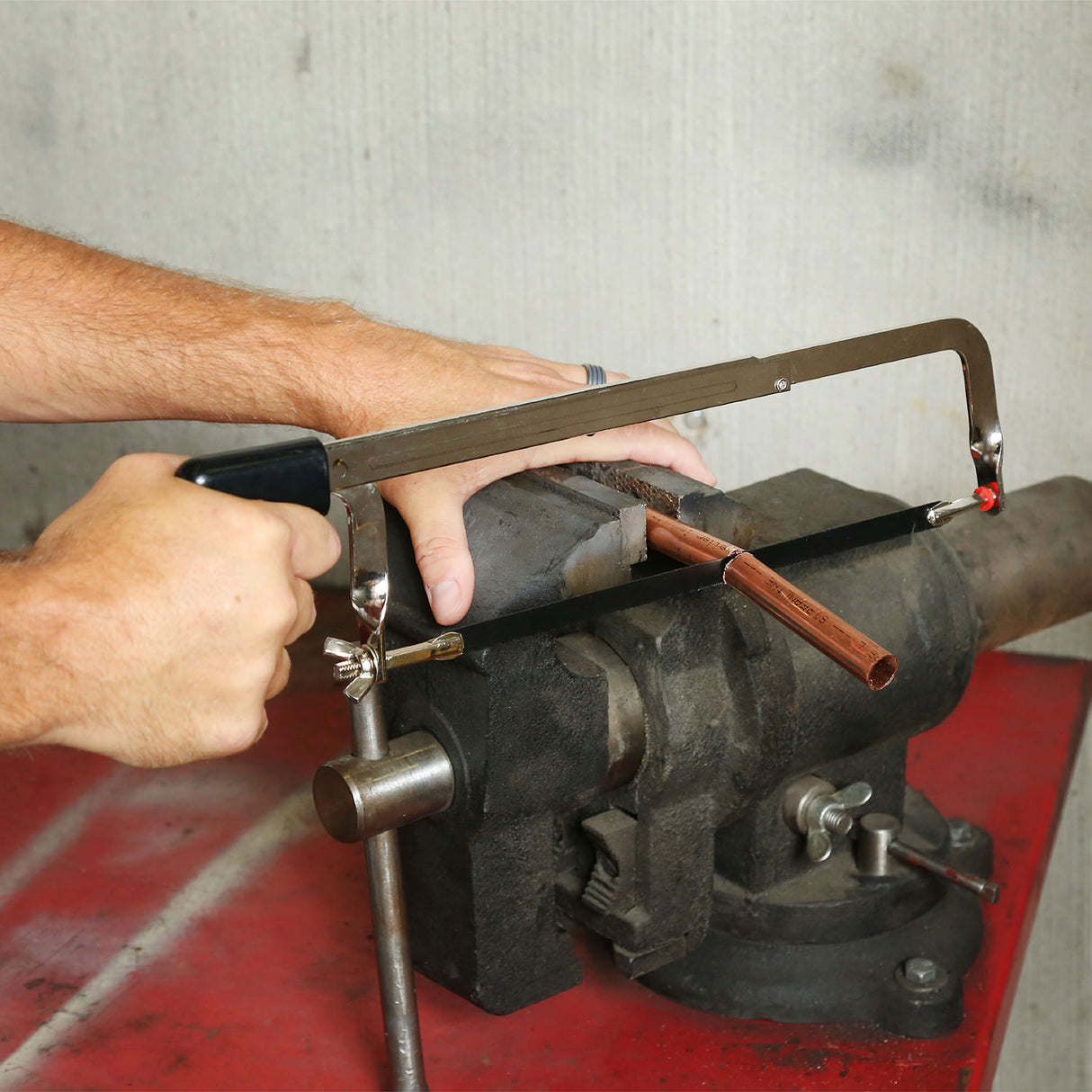 50 Additional Image 6