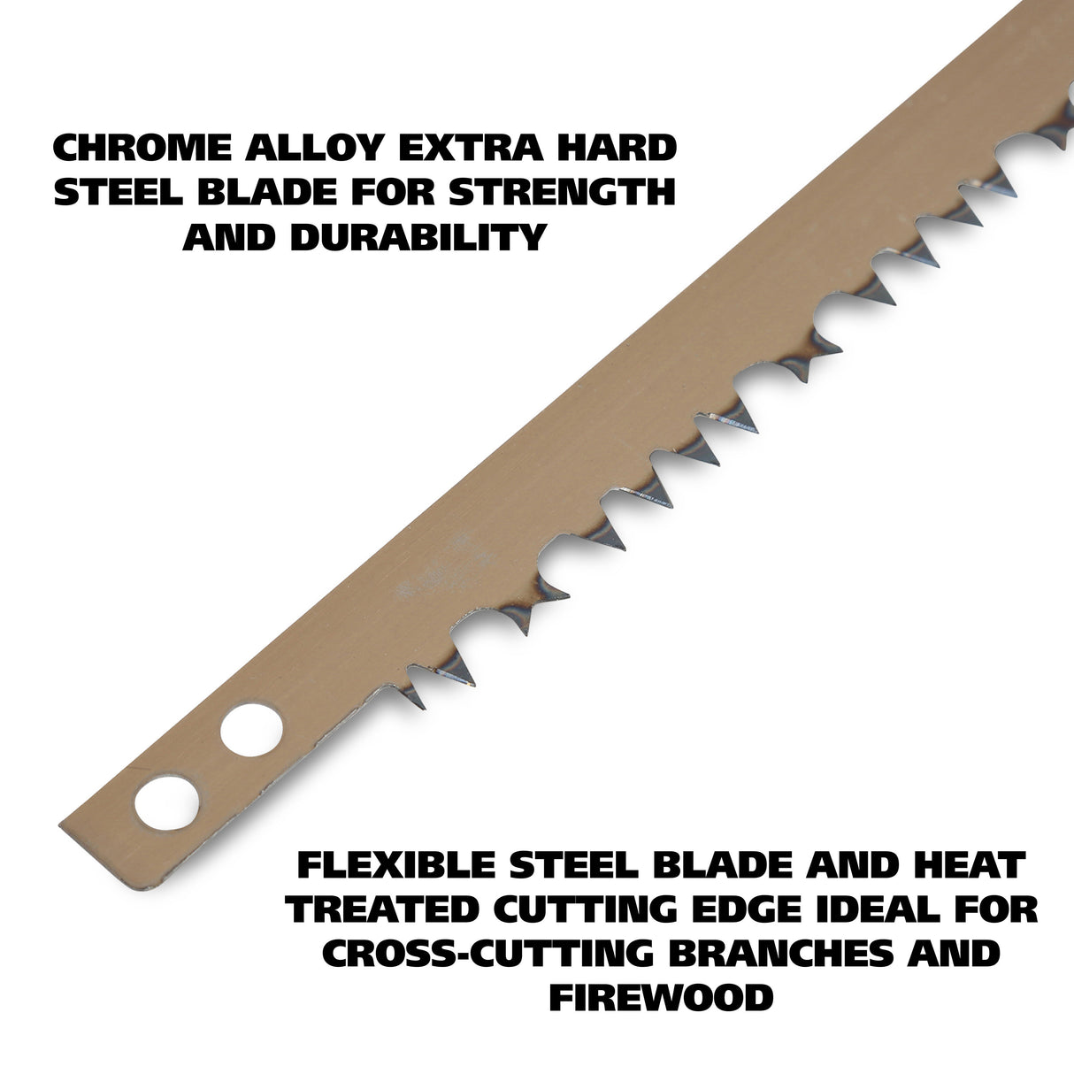 BS21 Additional Image 2