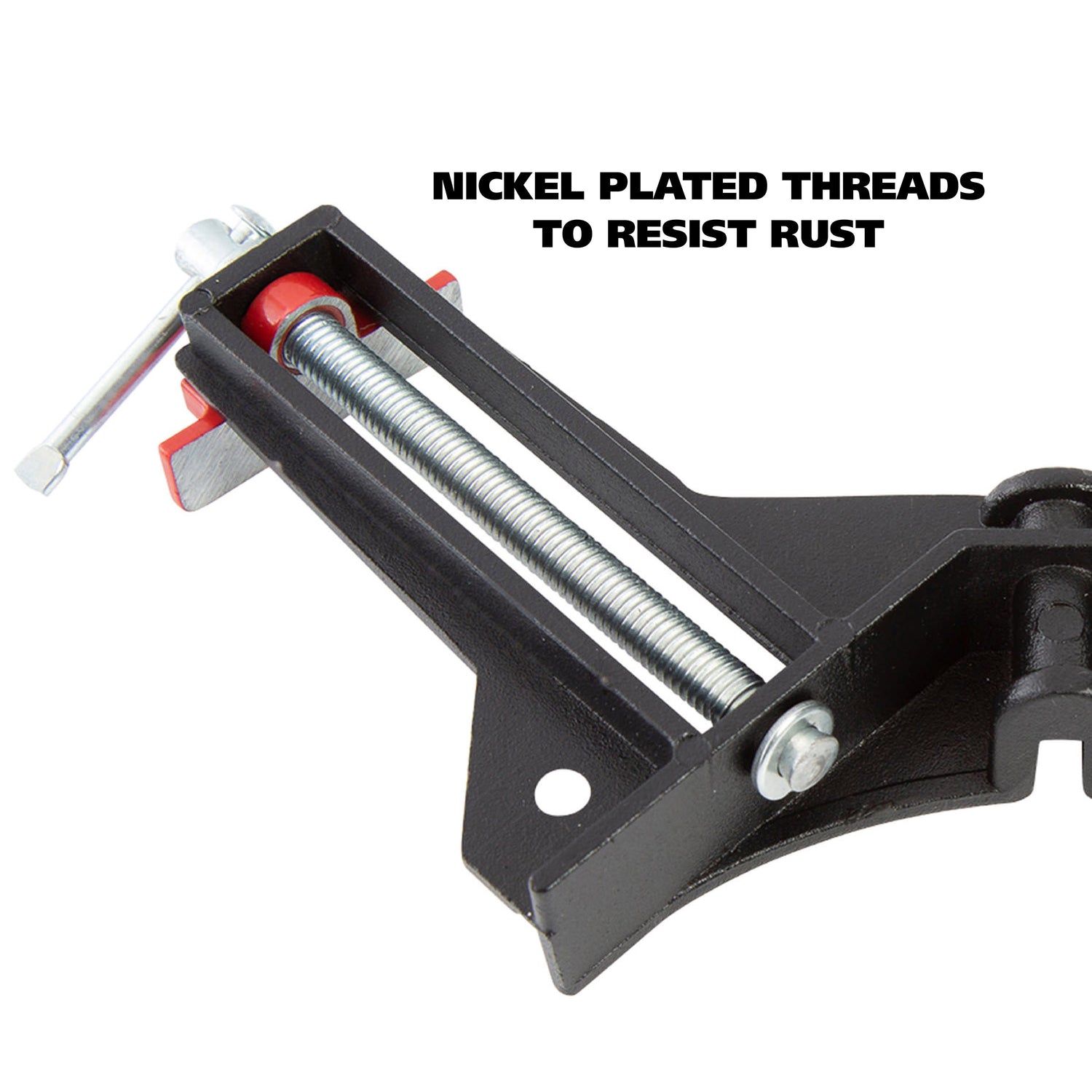 CCL Additional Image 4