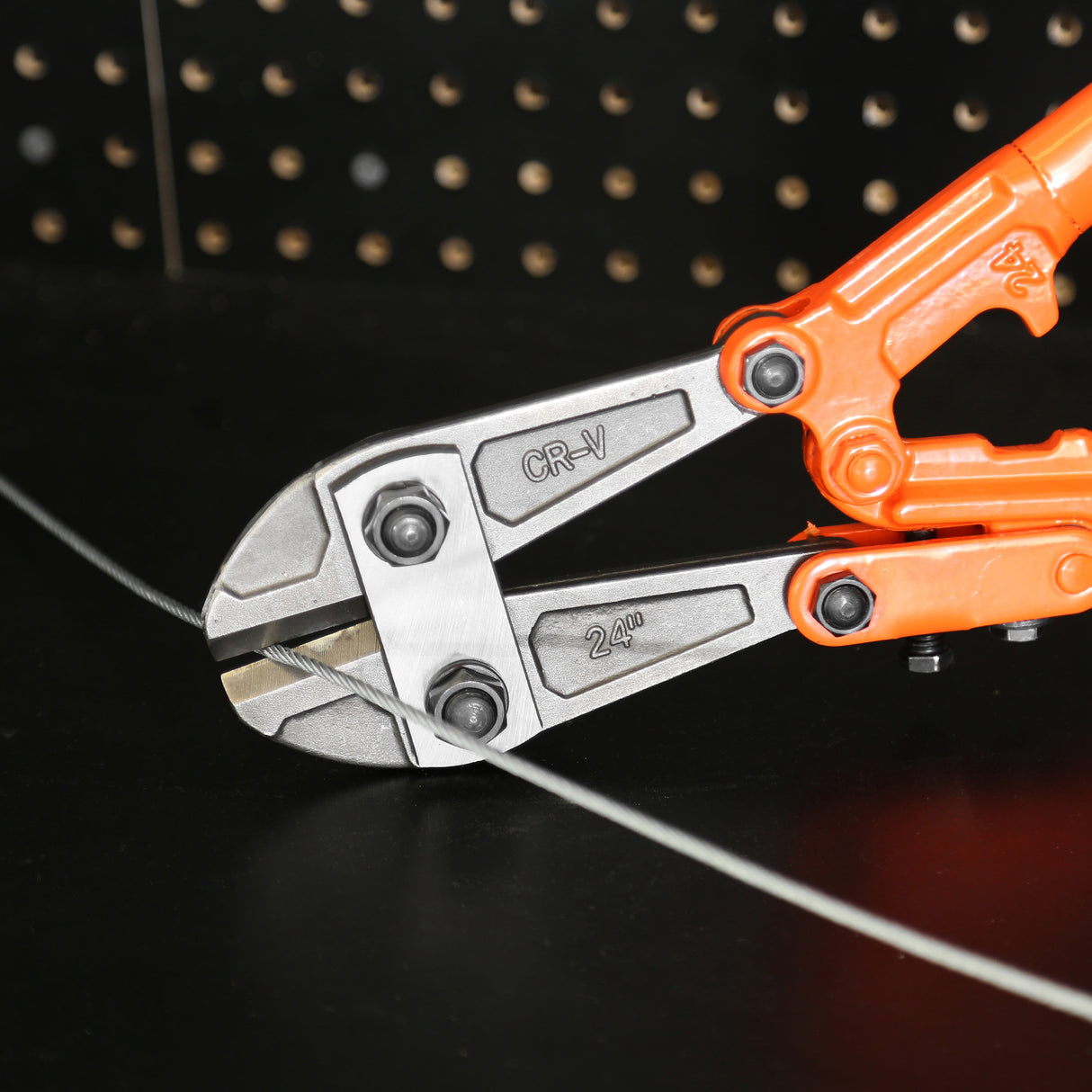 BC24 Additional Image 8