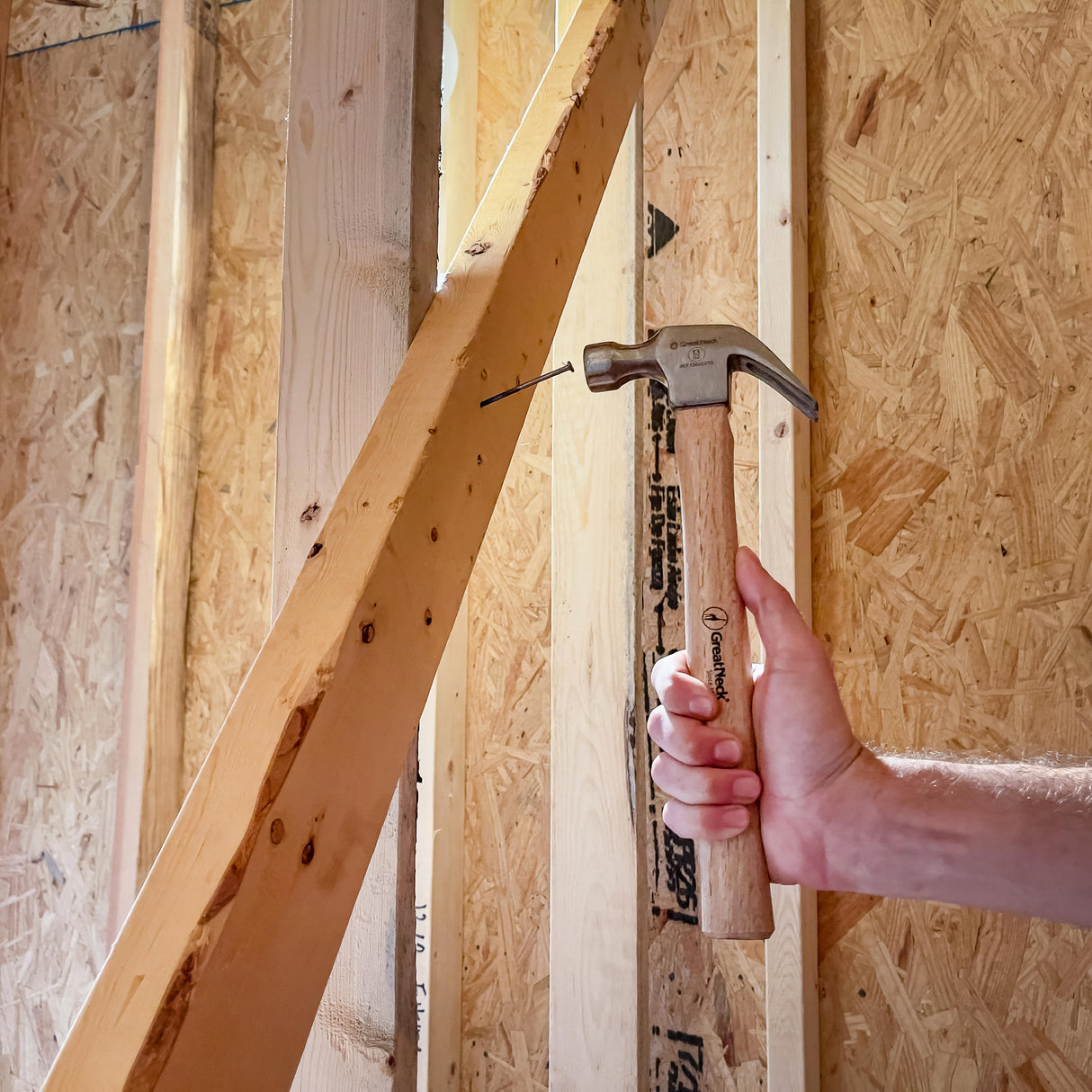 M13C Additional Image 7