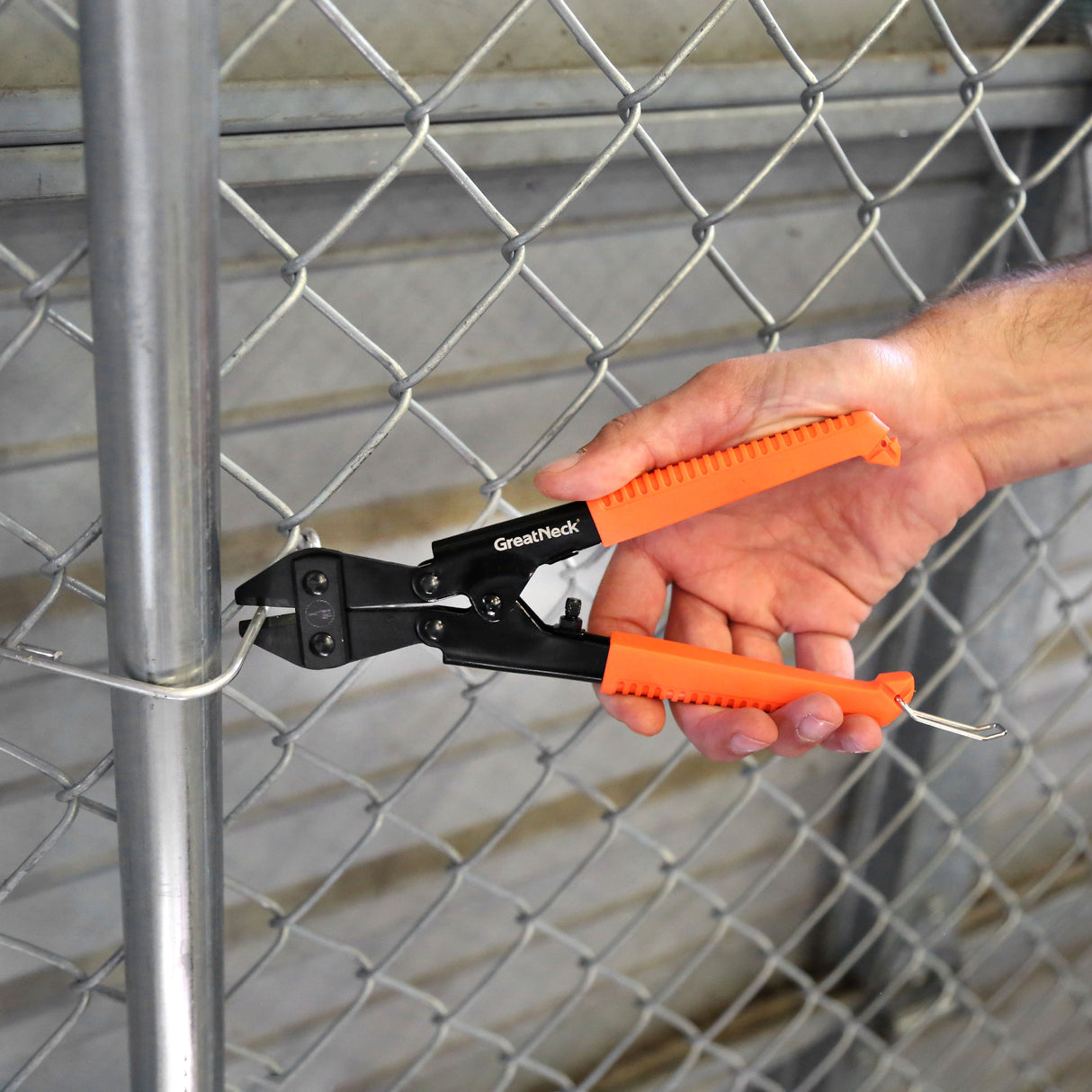 BC8 Additional Image 5