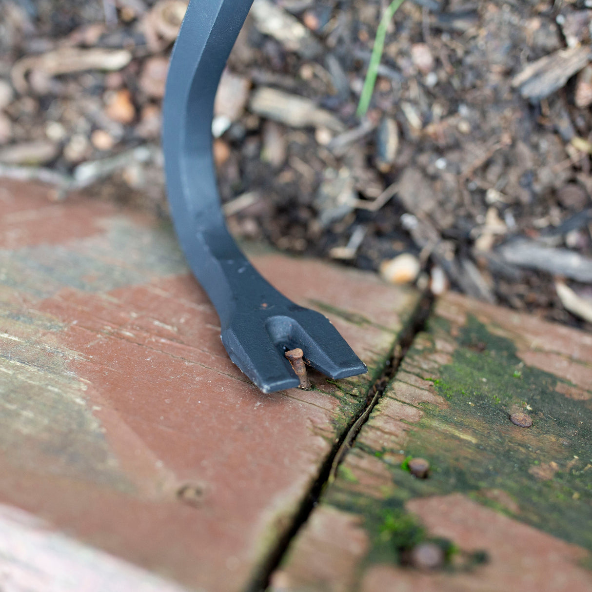 WR18 Additional Image 6