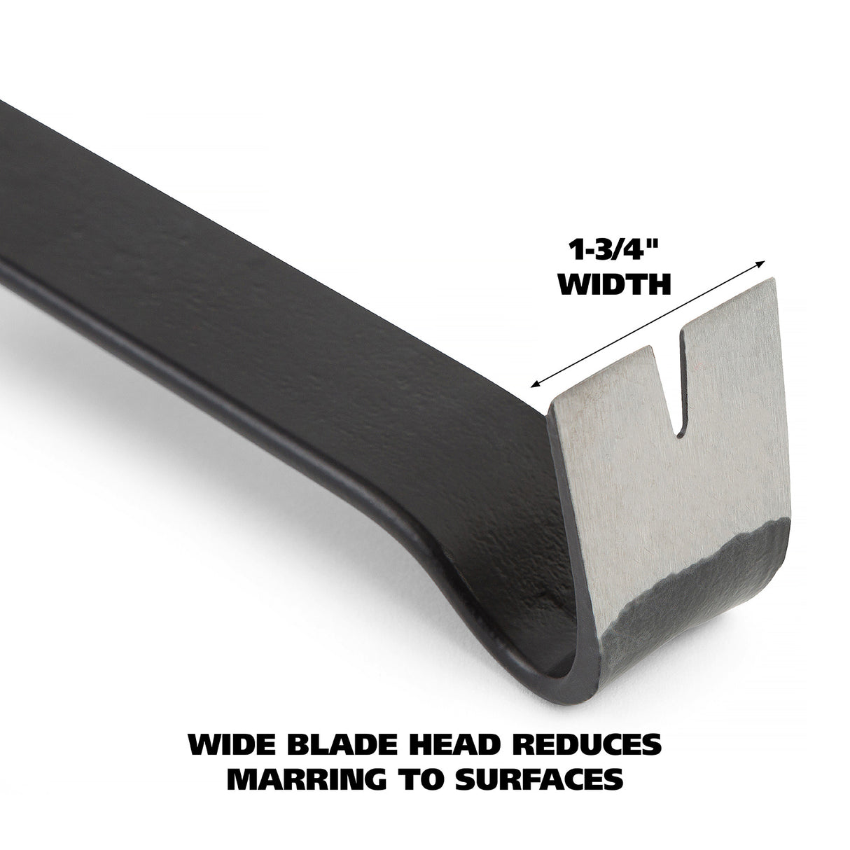 CVB15 Additional Image 3