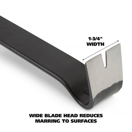 CVB15 Additional Image 3