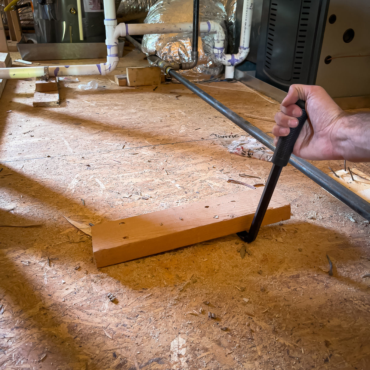 NC11 Additional Image 8