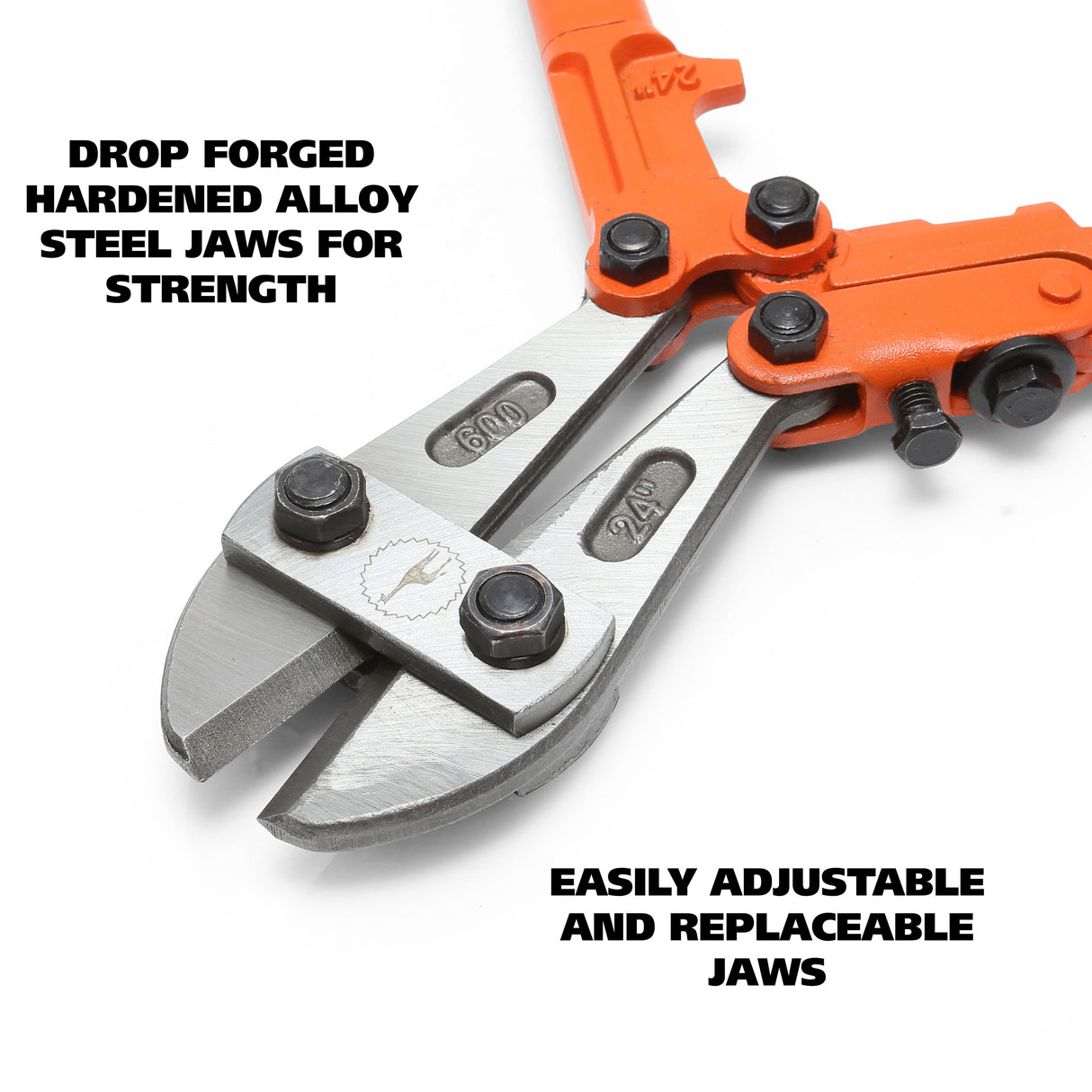 BC24 Additional Image 2