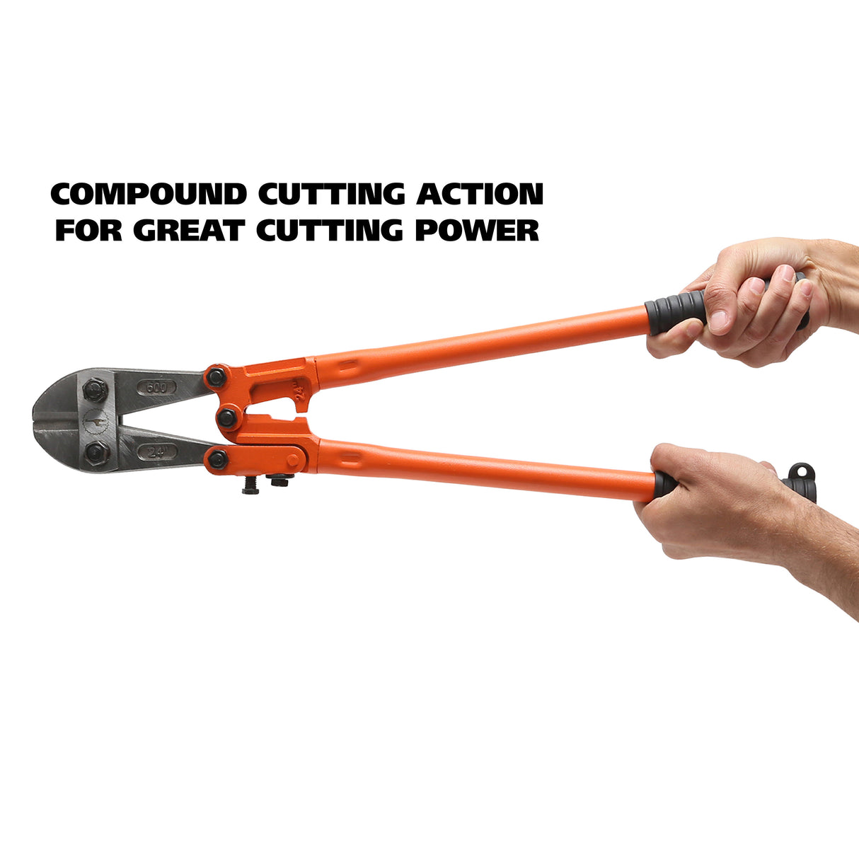 BC24 Additional Image 4