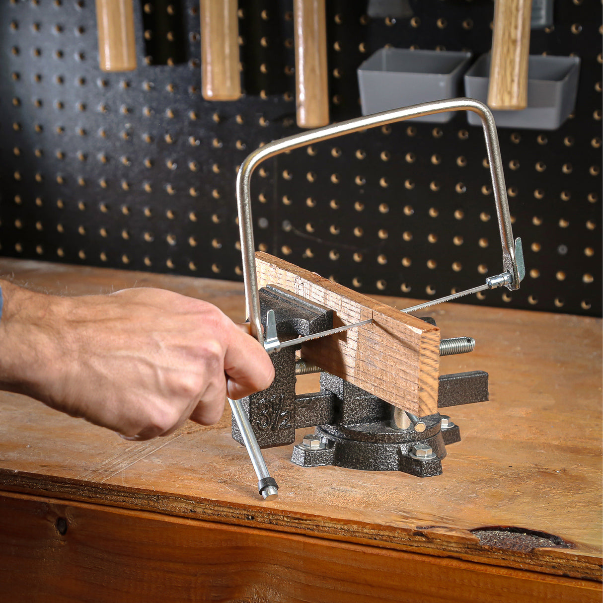 CP9 Additional Image 7