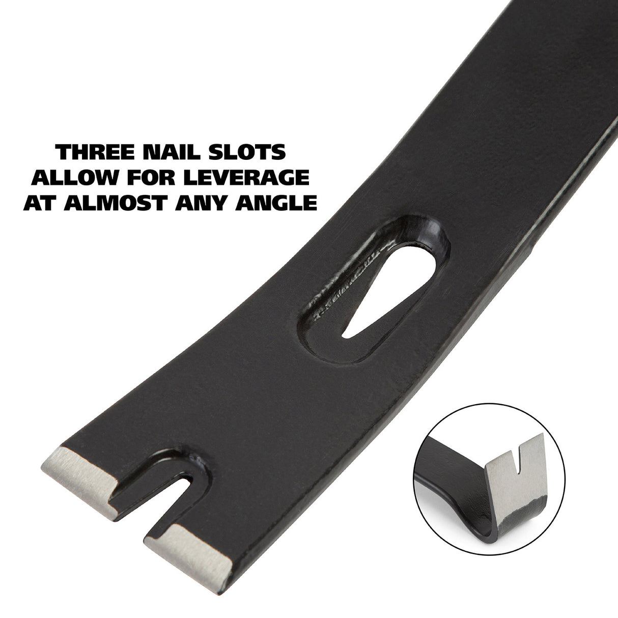 CVB15 Additional Image 2