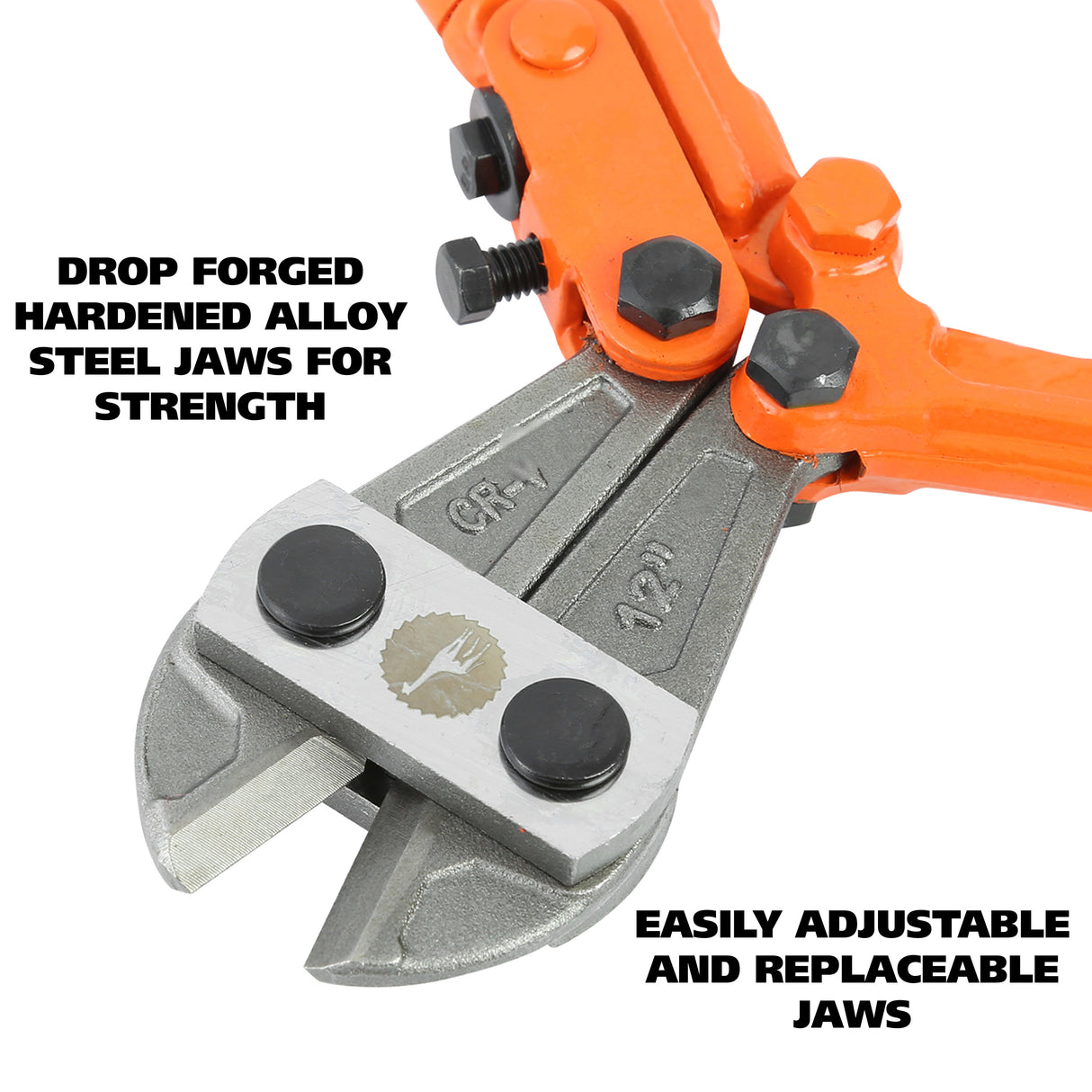 BC12 Additional Image 2