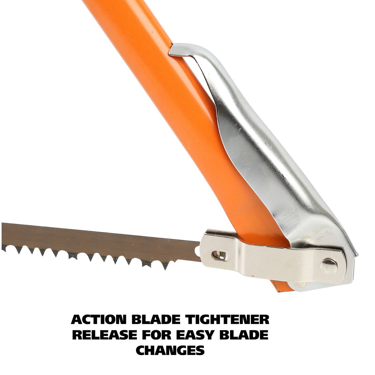 BB24 Additional Image 4