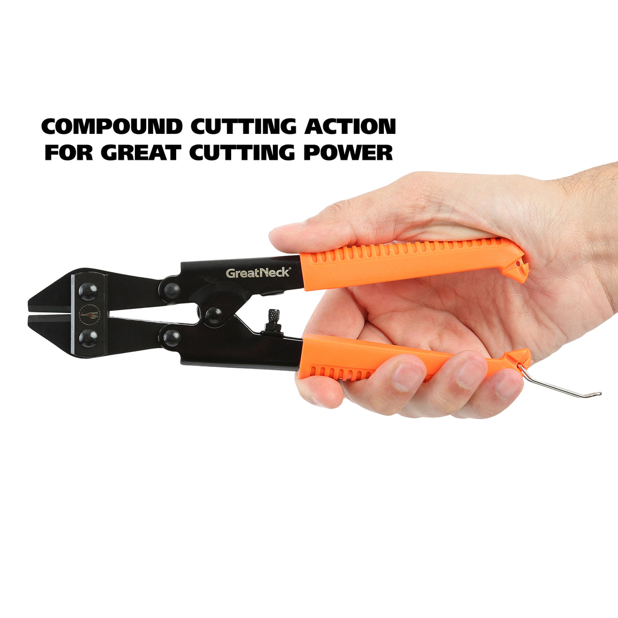 BC8 Additional Image 4