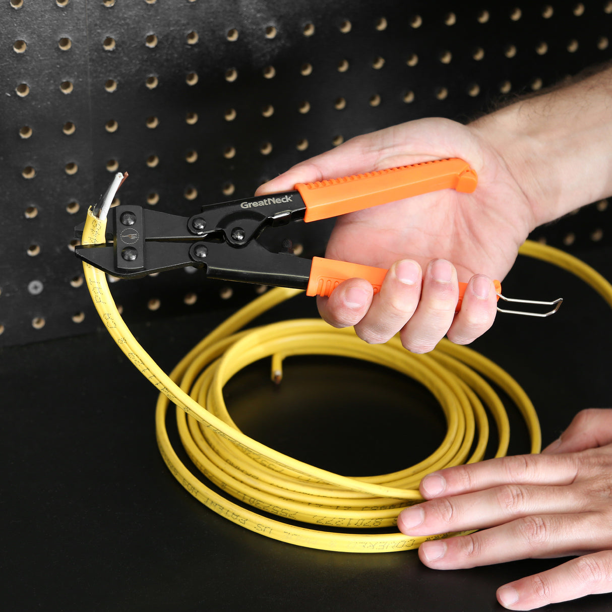 BC8 Additional Image 7