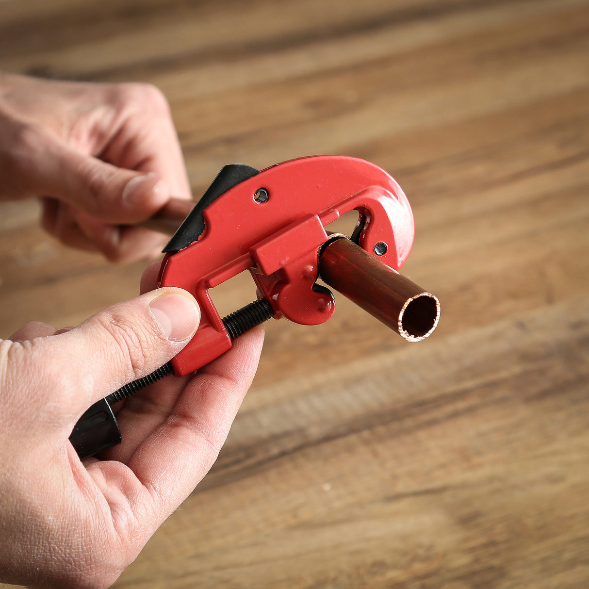 TC7C Additional Image 7