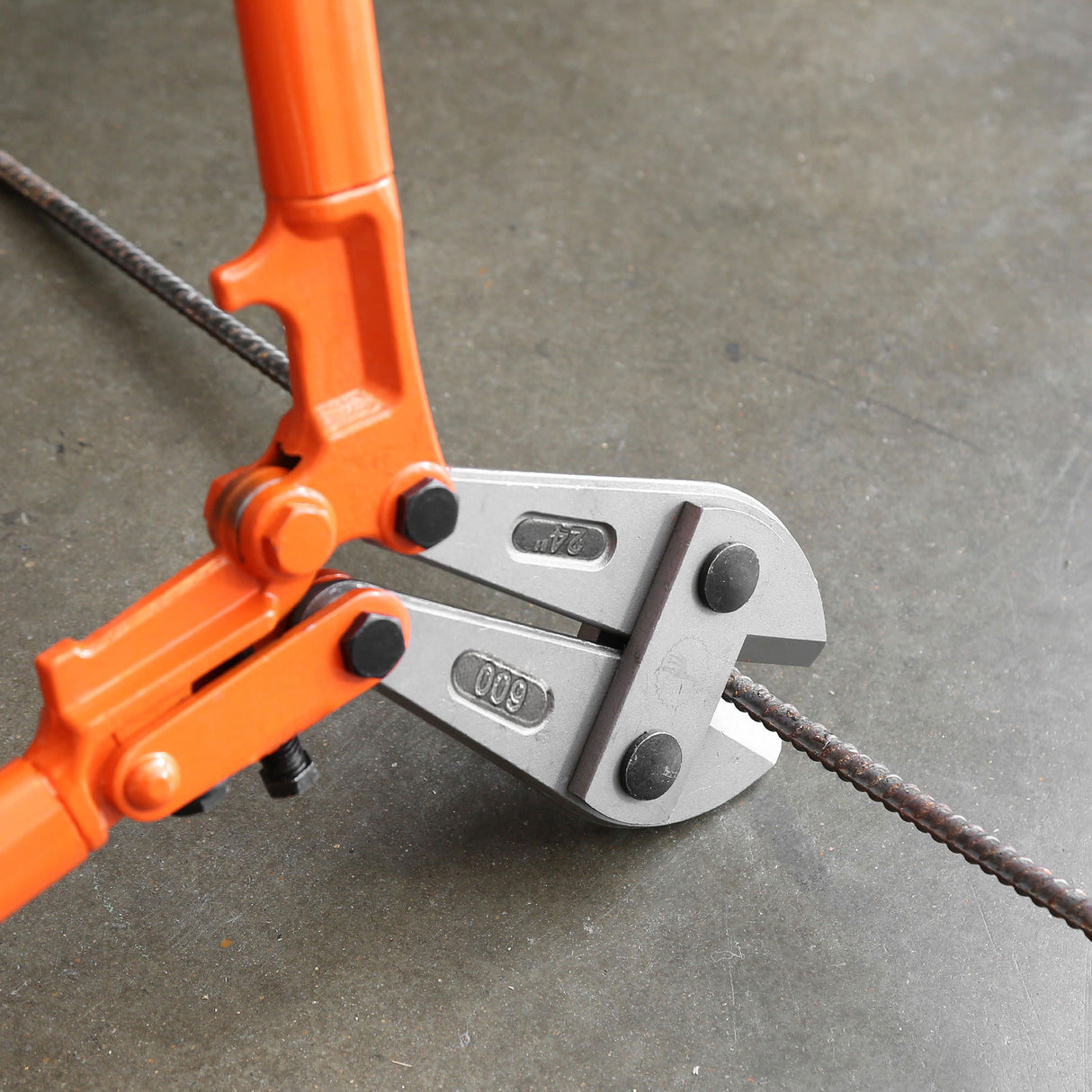 BC24 Additional Image 5