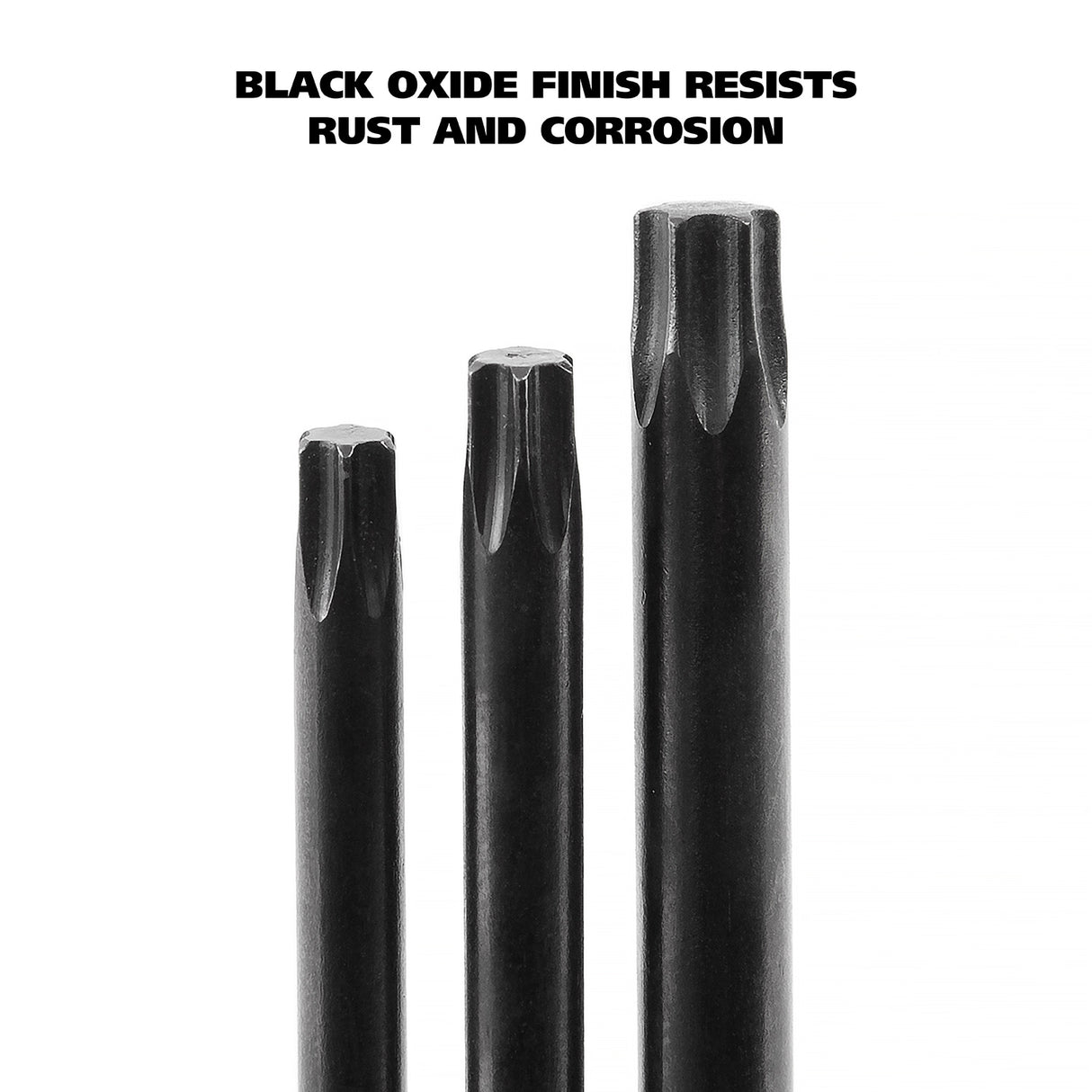 74210 Additional Image 5