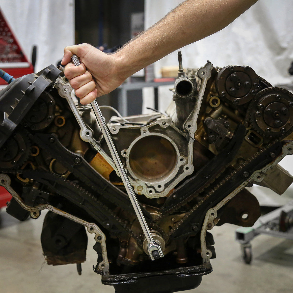 BB18 Additional Image 7