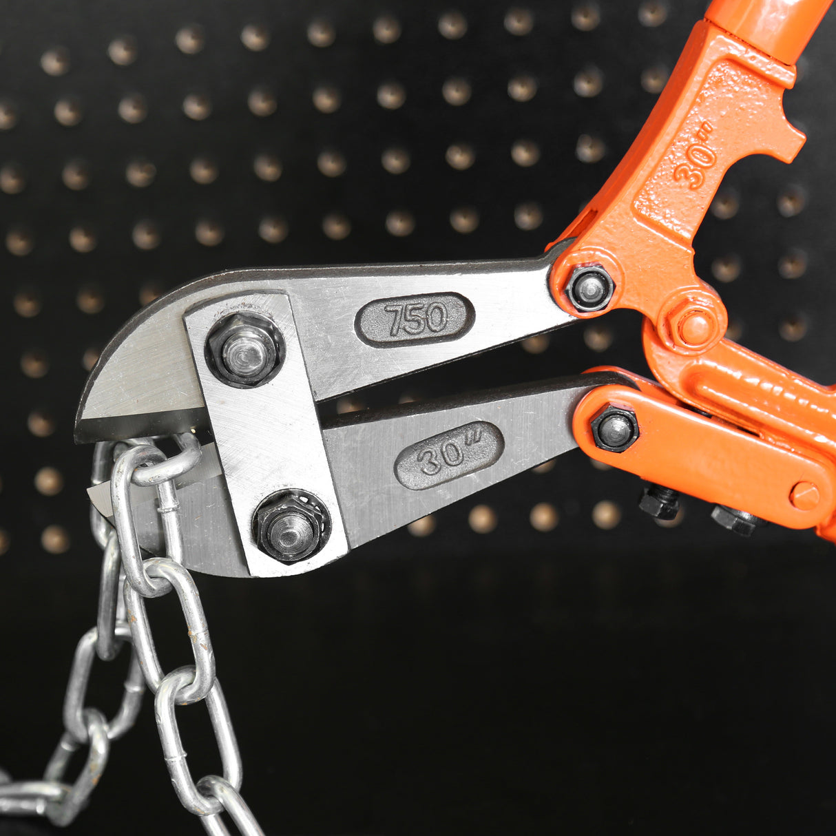 BC30 Additional Image 6