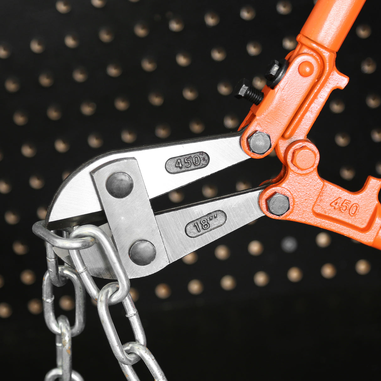 BC18 Additional Image 6