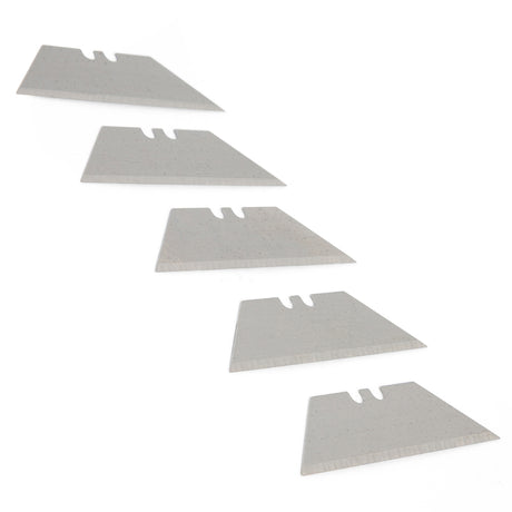 11P Additional Image 1