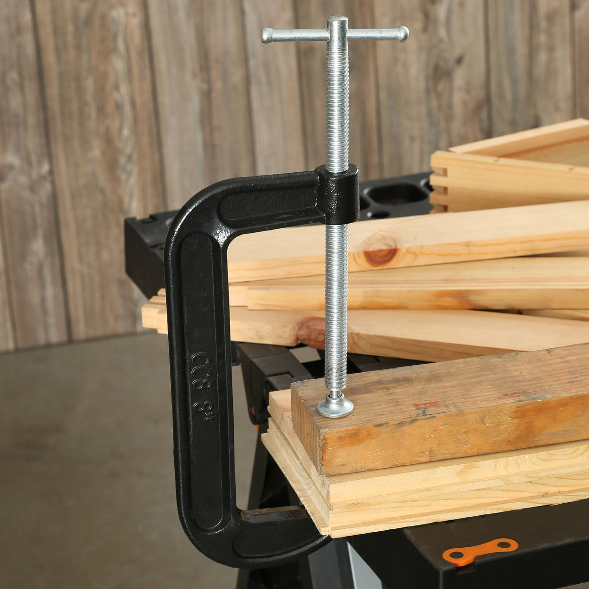 CCC8 Additional Image 8