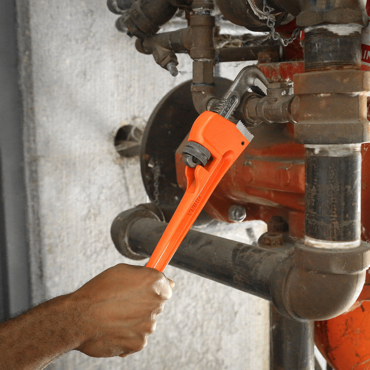 PW14 Additional Image 5