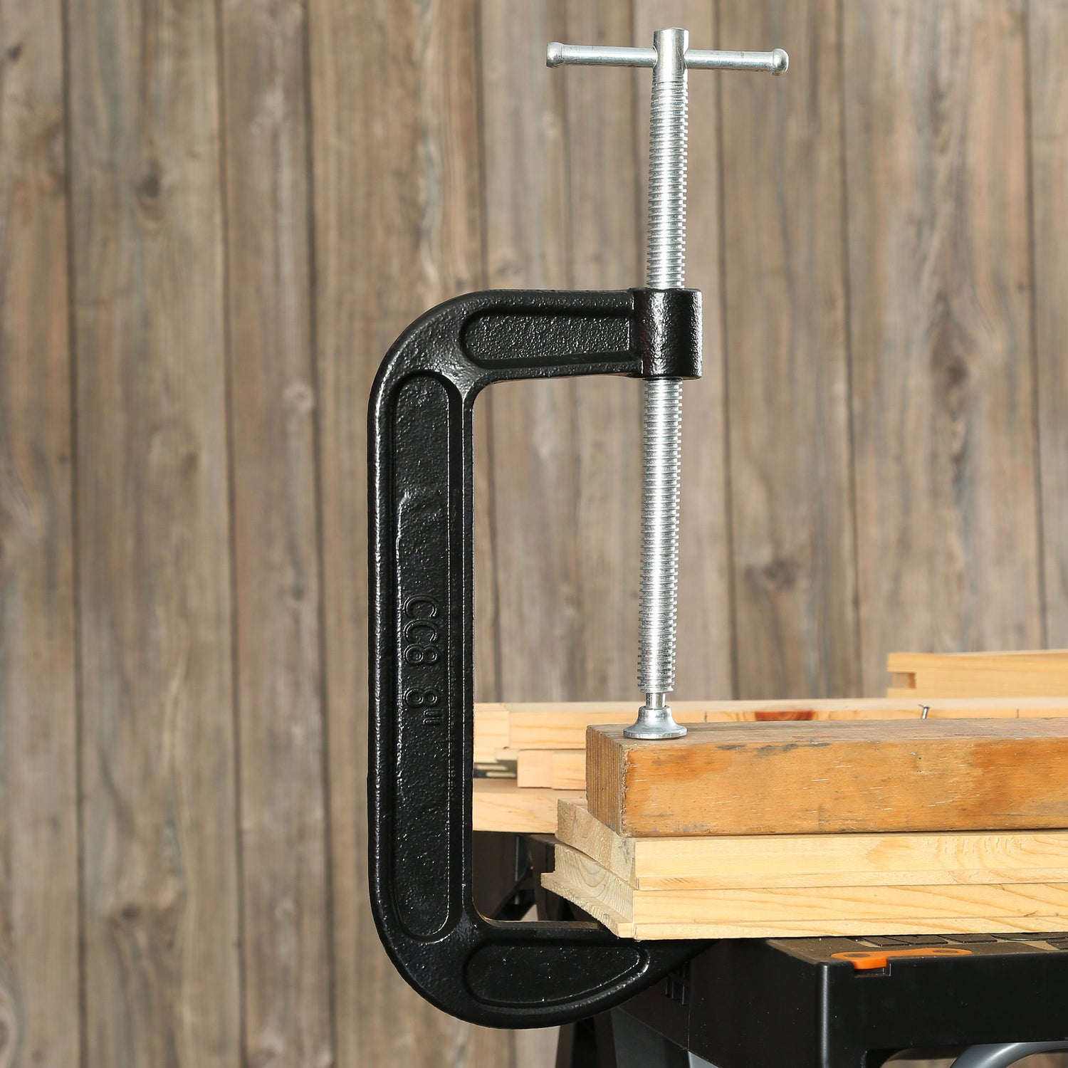 CCC8 Additional Image 7