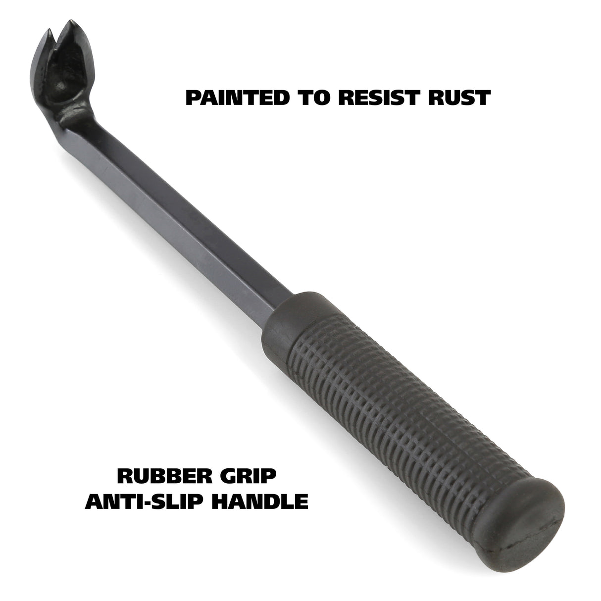 NC11 Additional Image 3