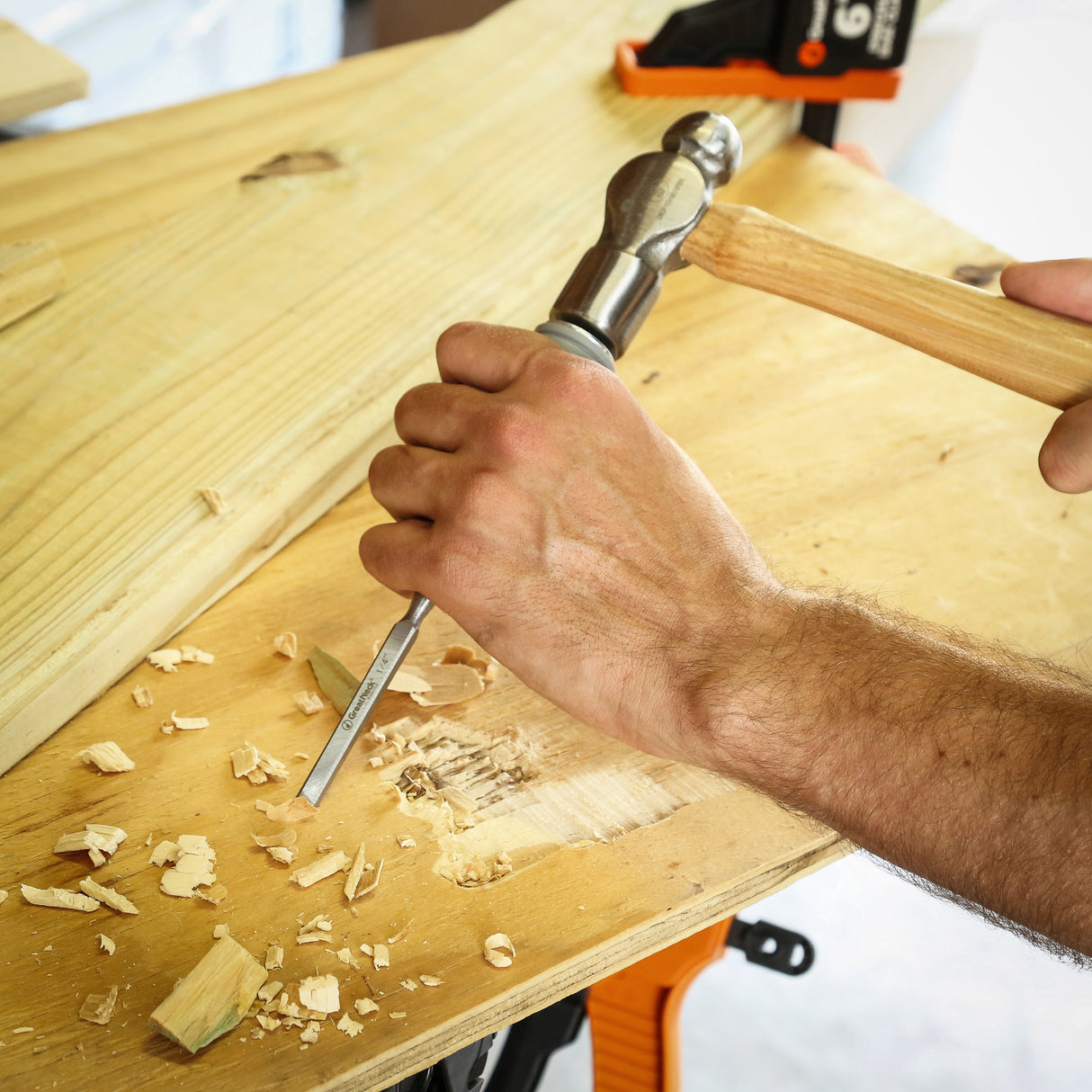 WC25 Additional Image 7