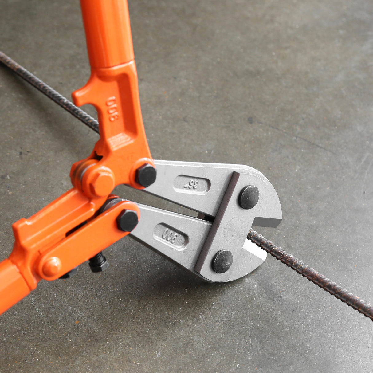 BC36 Additional Image 5