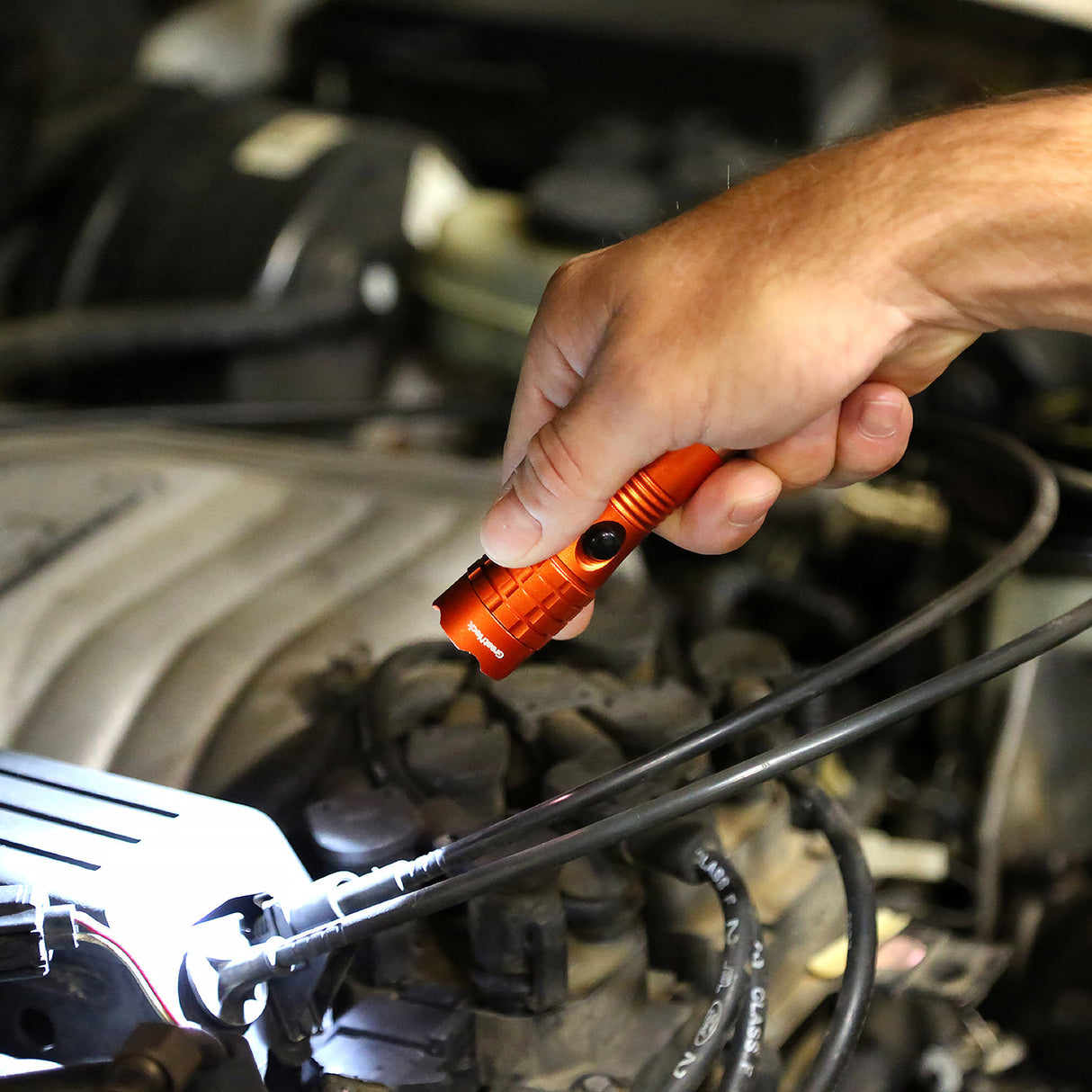 74216 Additional Image 5