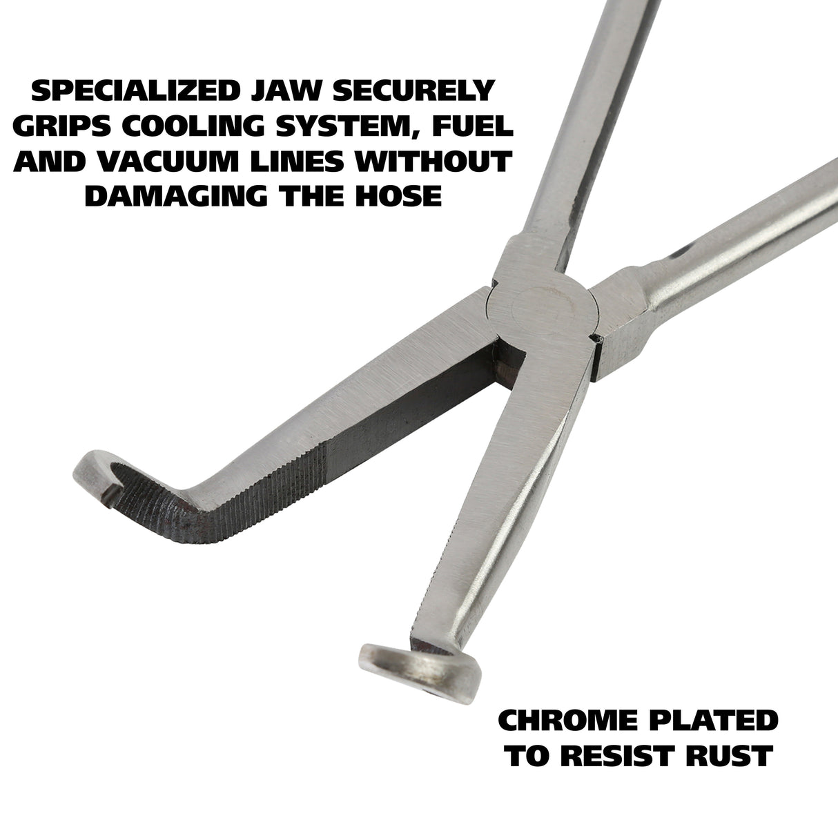 L311L Additional Image 2