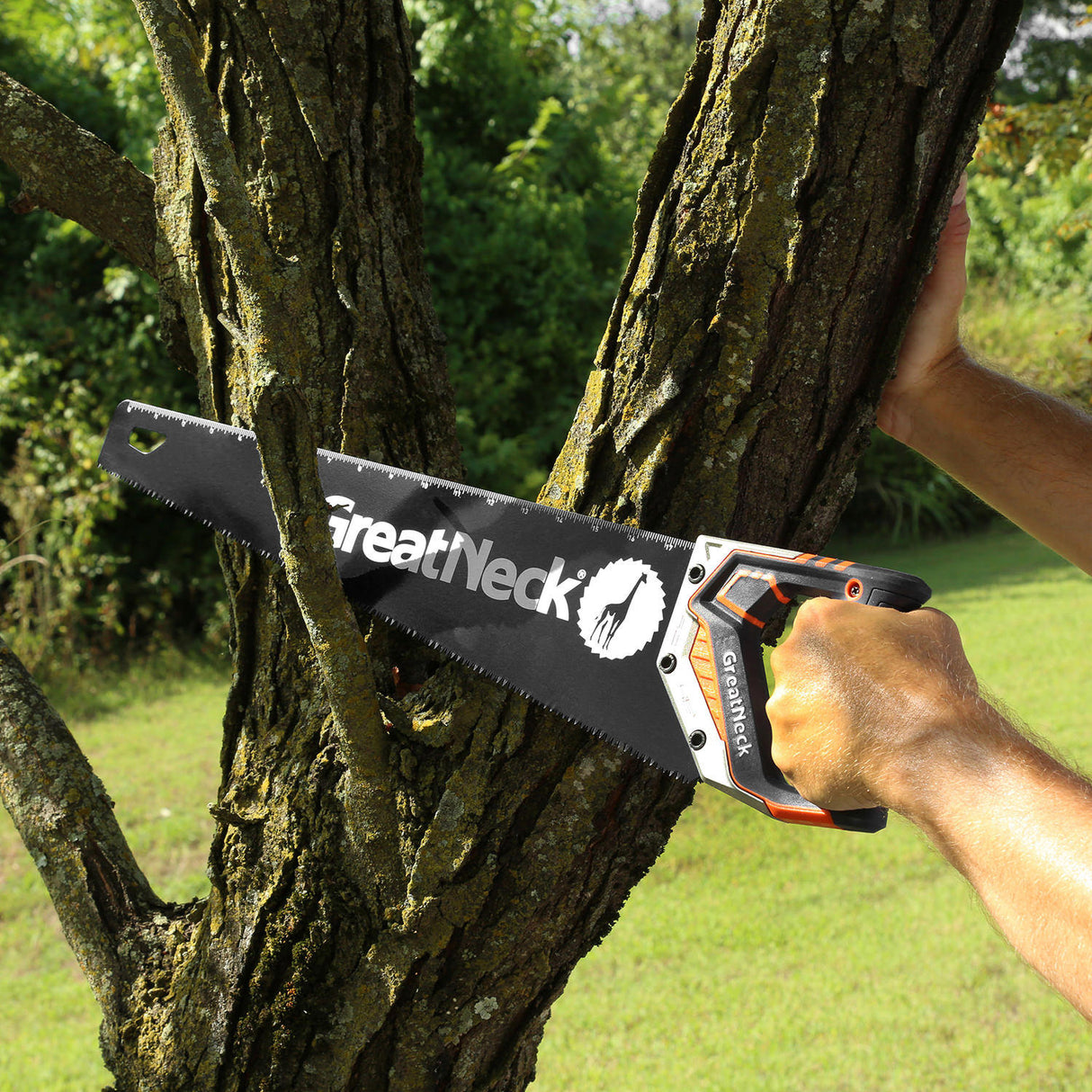 74004 Additional Image 9