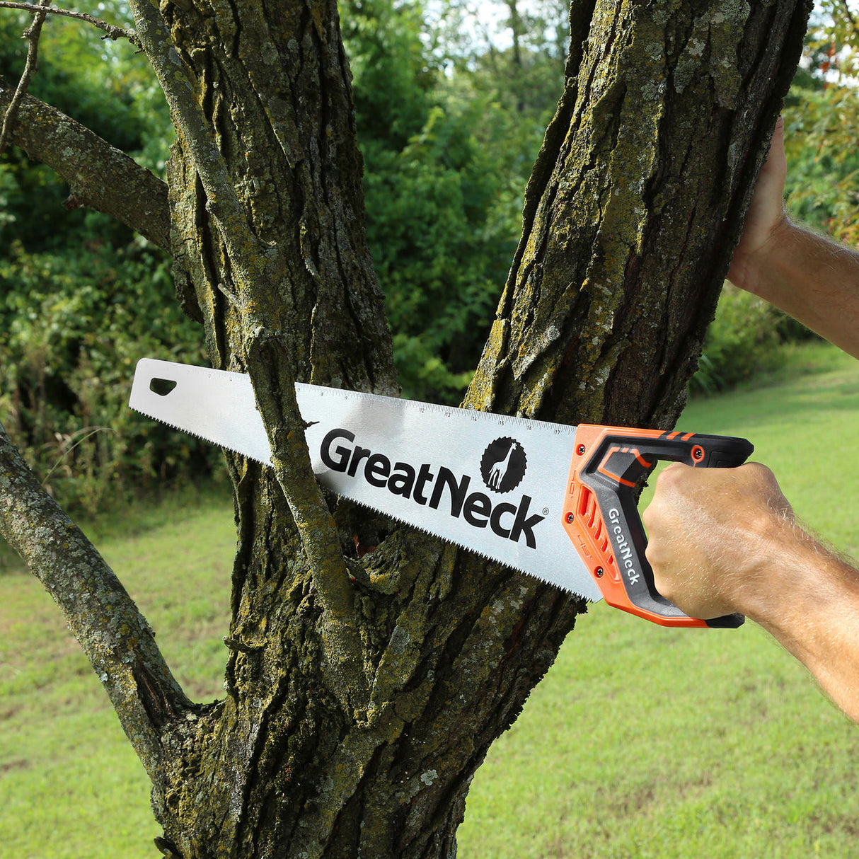 74002 Additional Image 9