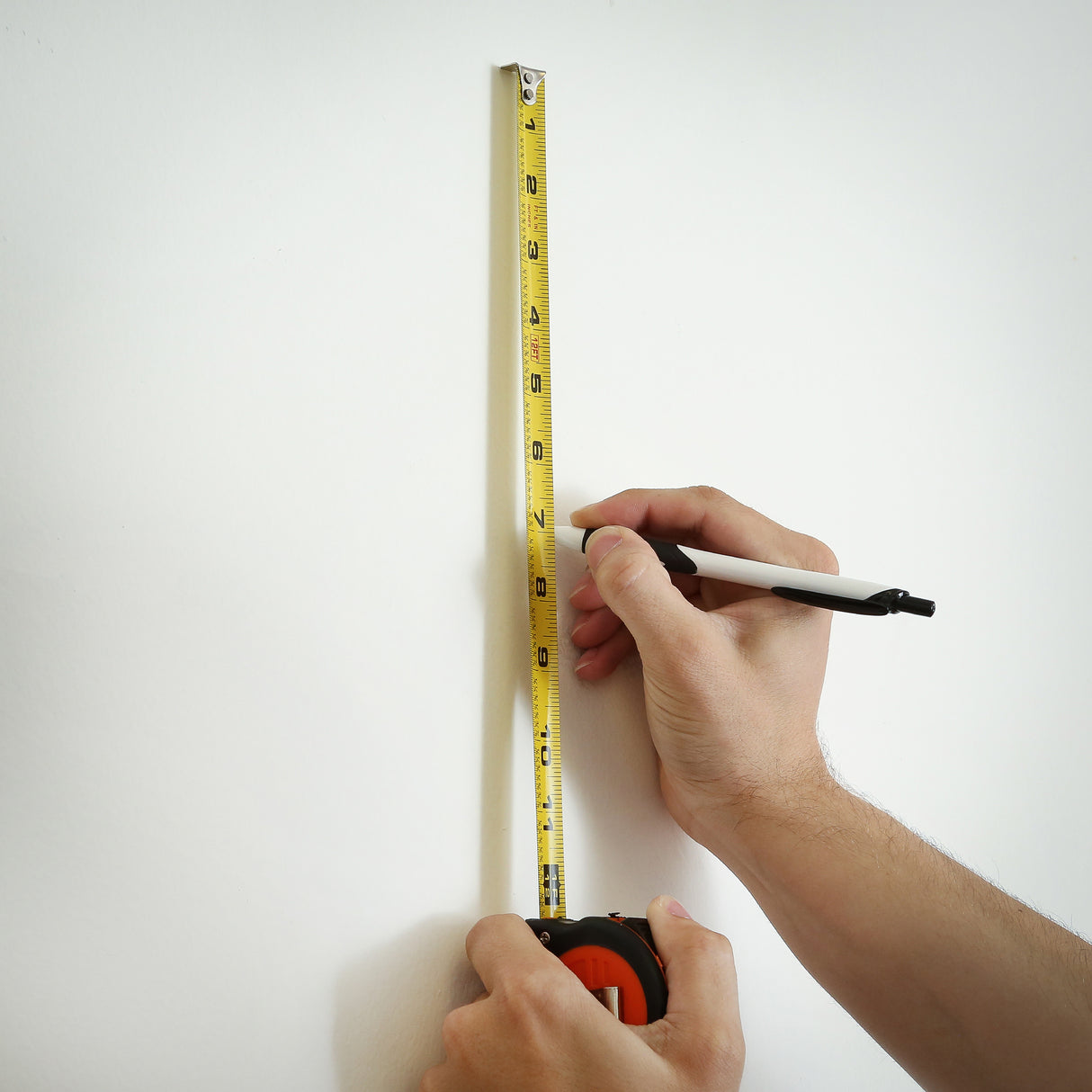 95006 Additional Image 7