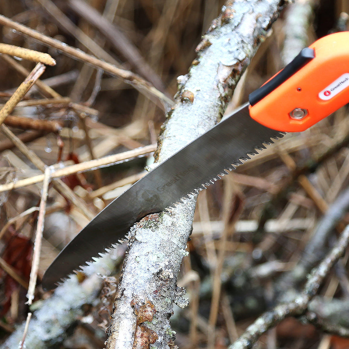 PRS10 Additional Image 9