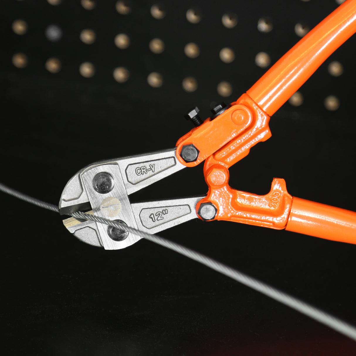 BC12 Additional Image 5