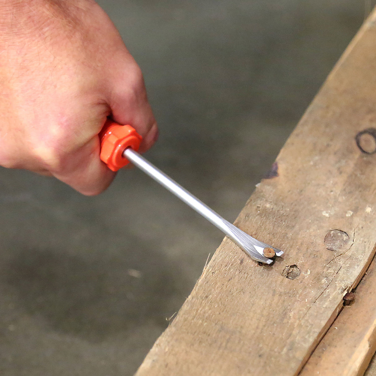 73610 Additional Image 5