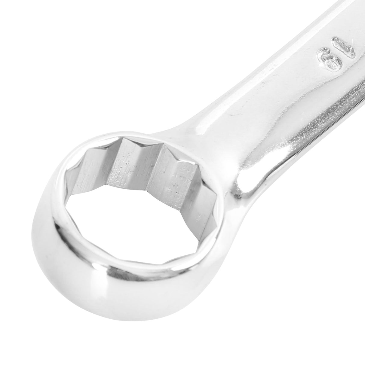 C19MC Additional Image 3