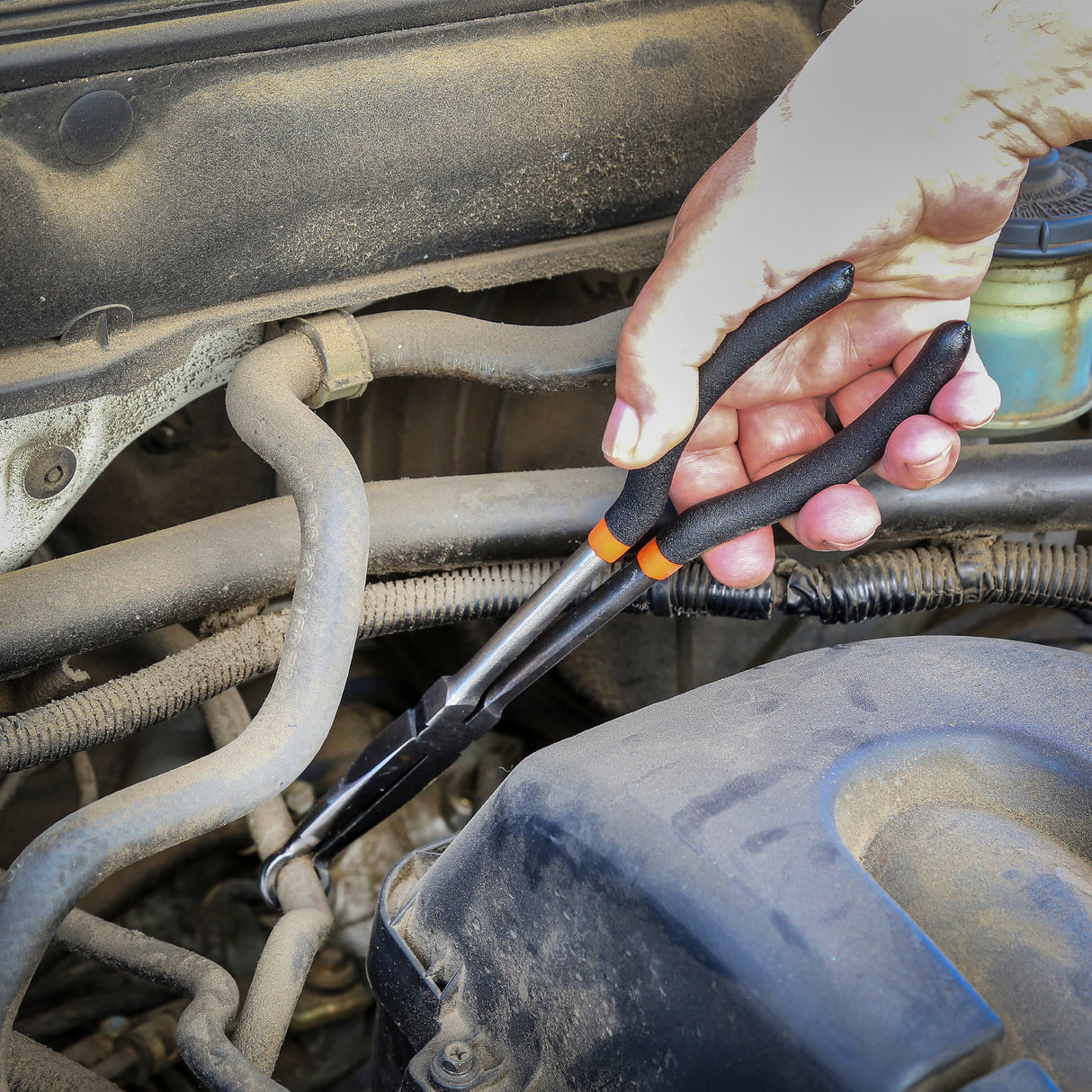 L311L Additional Image 5