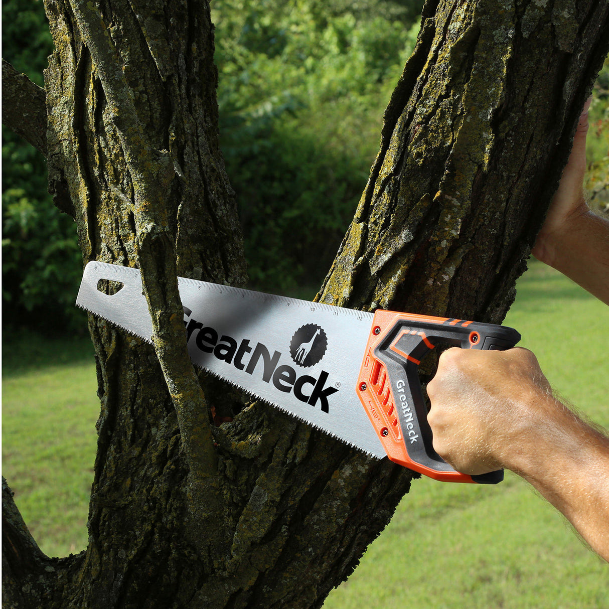 74001 Additional Image 9