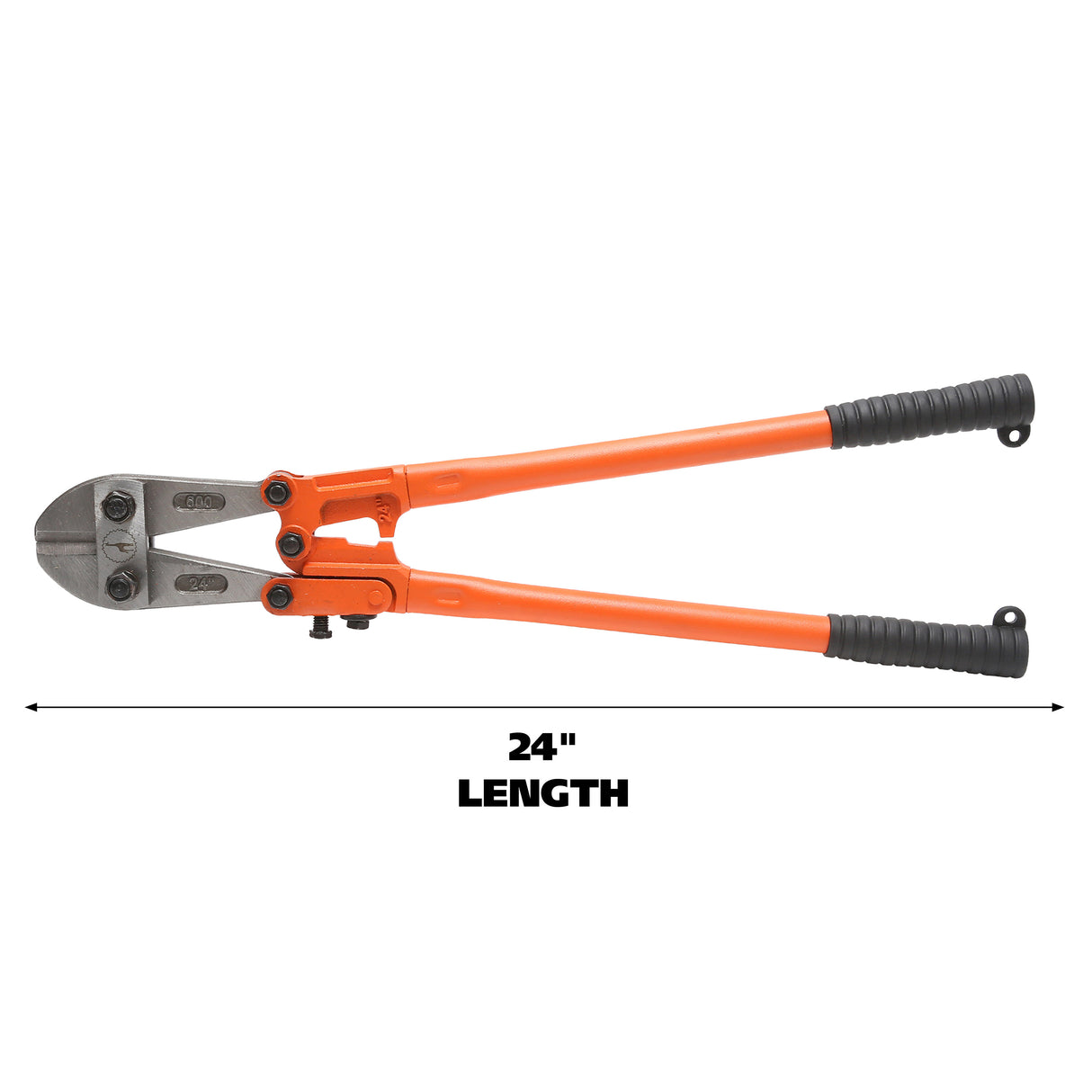 BC24 Additional Image 1