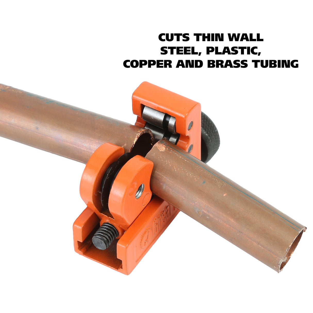 TCM Additional Image 4