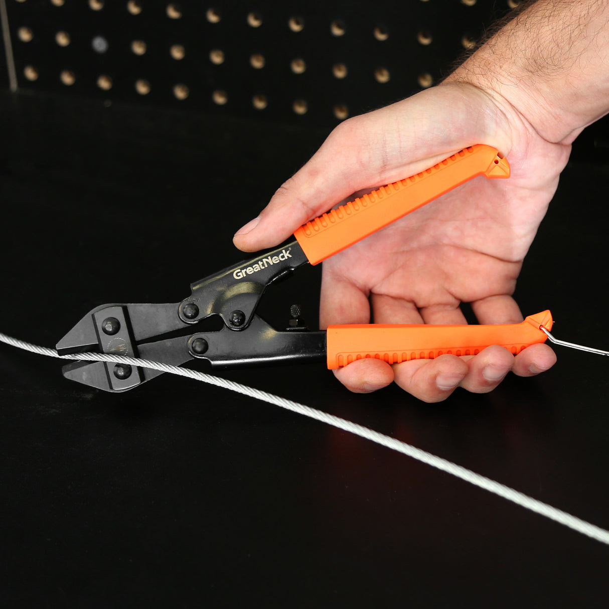 BC8 Additional Image 6