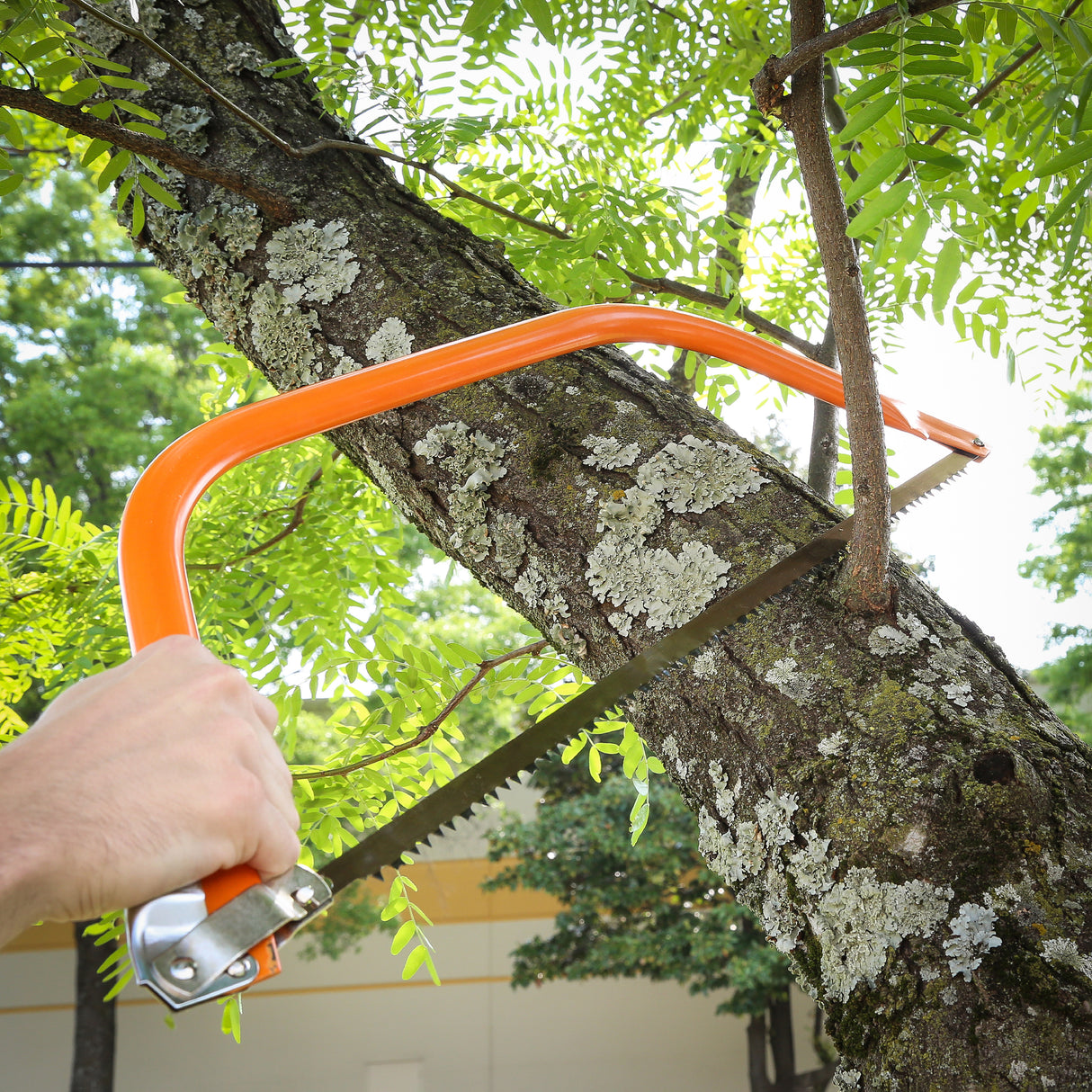 BB24 Additional Image 6