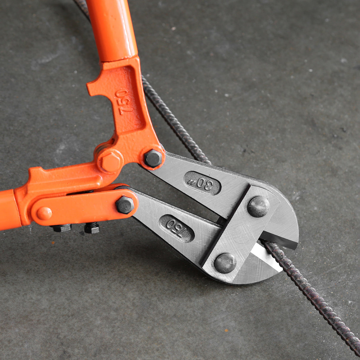 BC30 Additional Image 5