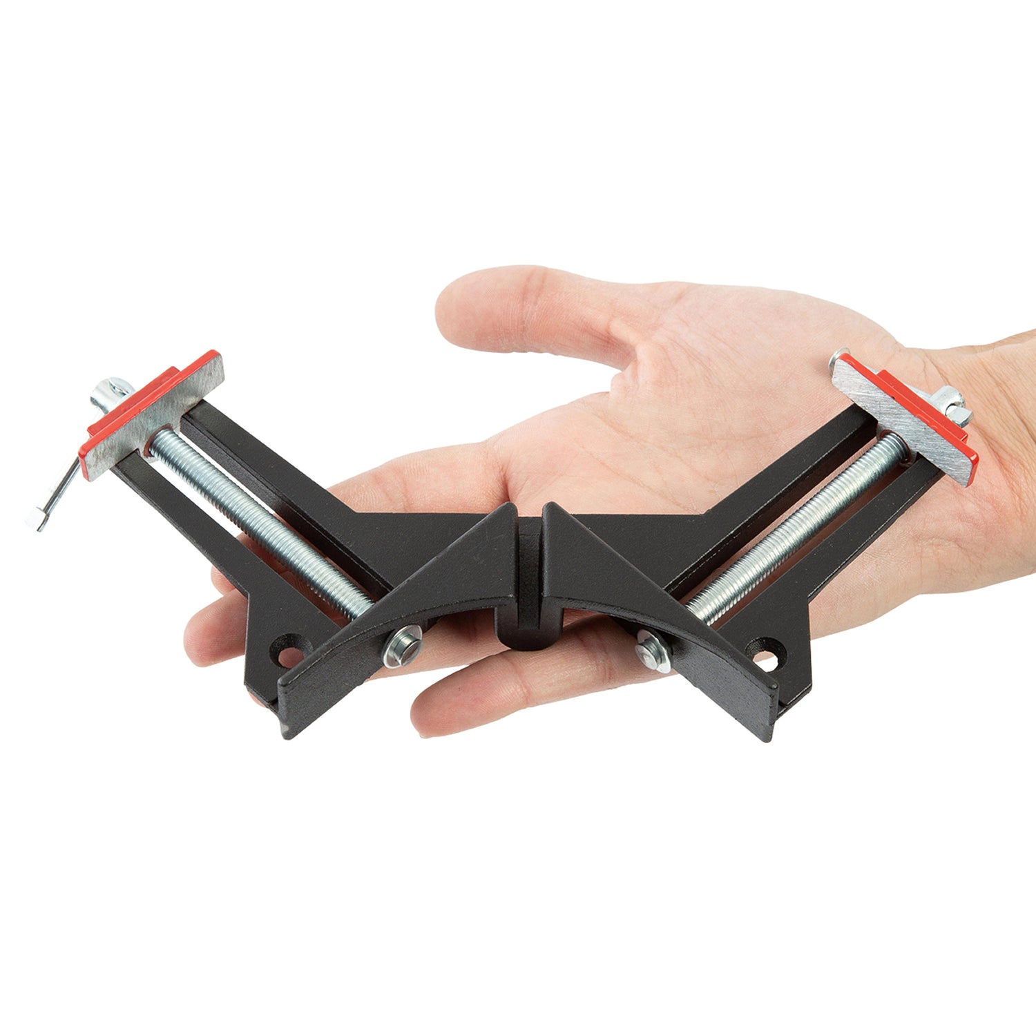 CCL Additional Image 5