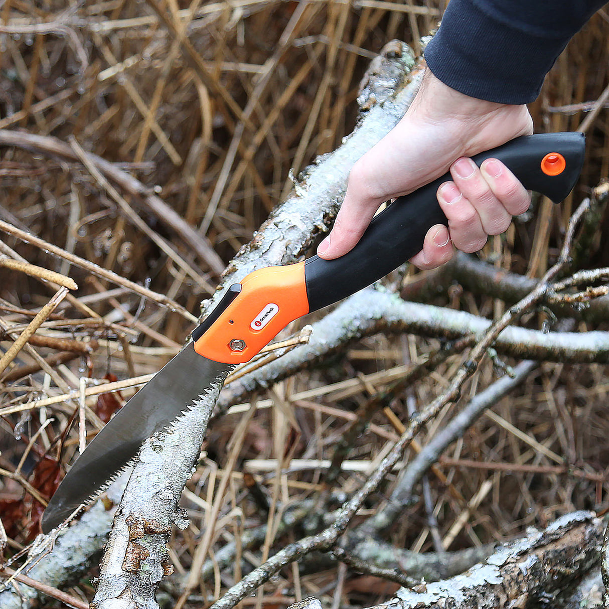 PRS10 Additional Image 8